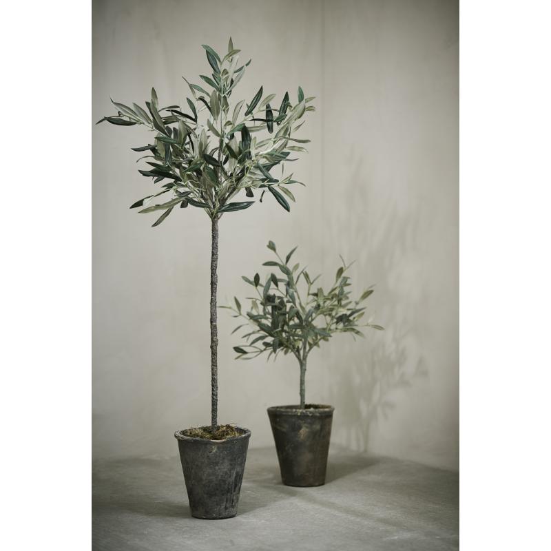 Lene Bjerre - Oliivipuu