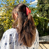 Hainhammas Alma, fruit