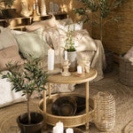 Ib Laursen - Oliivipuu S