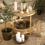 Ib Laursen - Oliivipuu S