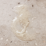 Käsisaippua Meadow bliss 490ml