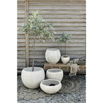 Lene Bjerre - Oliivipuu