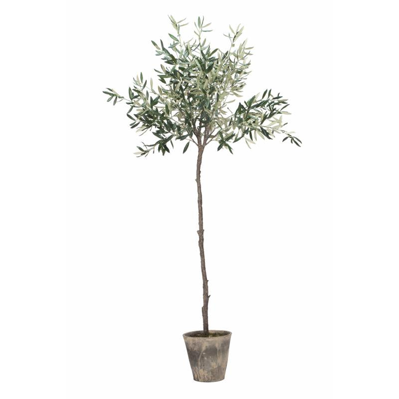 Lene Bjerre - Oliivipuu 160cm