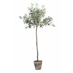 Lene Bjerre - Oliivipuu 160cm