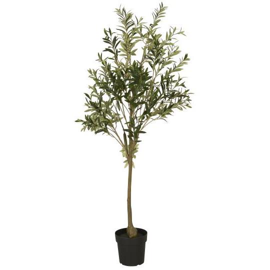 Ib Laursen - Oliivipuu L