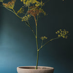 Bergs Potter - ruukku Ada RAW Grey