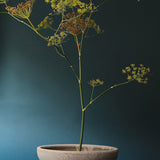 Bergs Potter - ruukku Ada RAW Grey