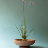 Bergs Potter - ruukku Ada RAW Rosa