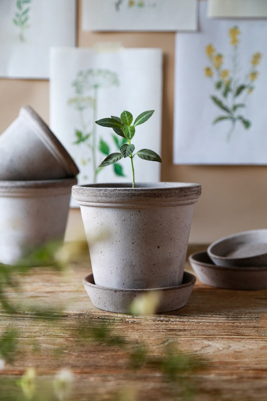 Bergs Potter ruukku Flora RAW grey