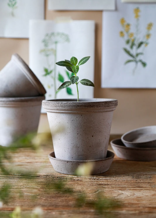 Bergs Potter ruukku Flora RAW grey
