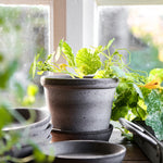 Bergs Potter - ruukku Parade RAW grey