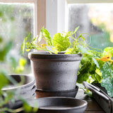 Bergs Potter - ruukku Parade RAW grey