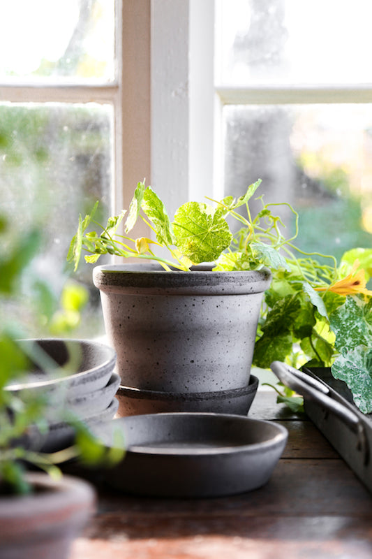 Bergs Potter - ruukku Parade RAW grey