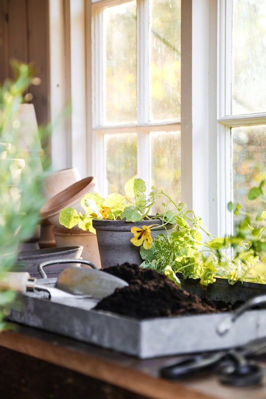 Bergs Potter - ruukku Parade RAW grey