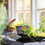 Bergs Potter - ruukku Parade RAW grey