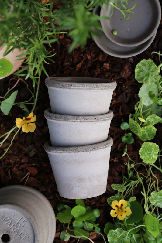 Bergs Potter - ruukku Parade RAW grey