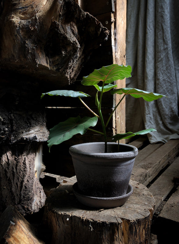 Bergs Potter - ruukku Parade RAW grey