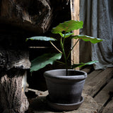 Bergs Potter - ruukku Parade RAW grey