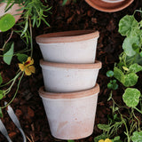 Bergs Potter - ruukku Parade RAW Rosa