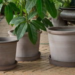 Bergs Potter Galestro ruukku harmaa