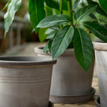 Bergs Potter Galestro ruukku harmaa