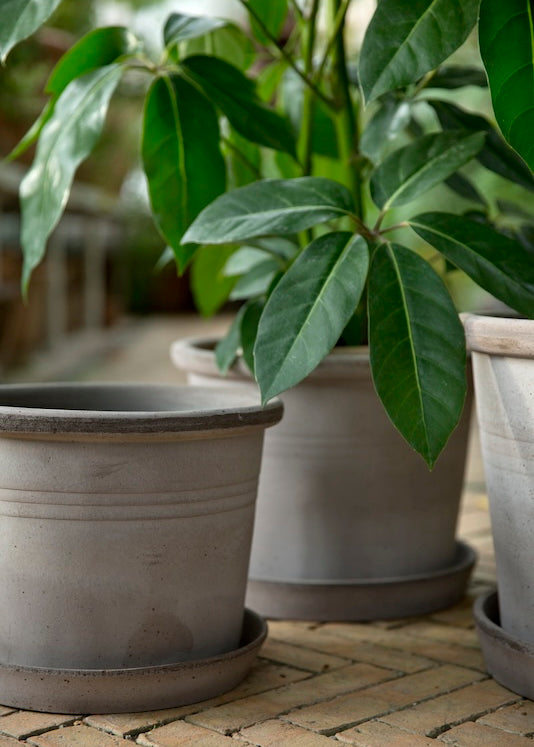 Bergs Potter Galestro ruukku harmaa