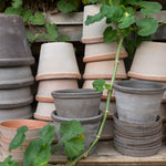 Bergs Potter - ruukku Parade RAW Rosa