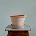 Bergs Potter - ruukku Parade RAW Rosa