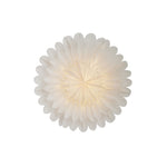 Watt & Veke - Lotus 60 white