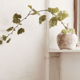 Tine K Home - saviruukku, Sara S