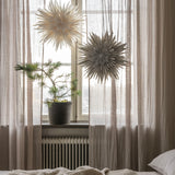 Maja 50 tähti, Off White