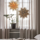 Maja 50 tähti, Off White