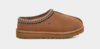 Tasman slipper, Chestnut
