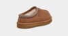 Tasman slipper, Chestnut