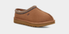 Tasman slipper, Chestnut