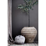 Lene Bjerre - Oliivipuu