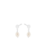 Ocean korvakorut, hopea