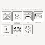 Pillivuyt - Toulouse 25x23cm