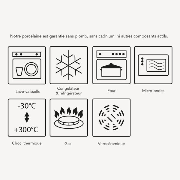 Pillivuyt - Toulouse 25x23cm