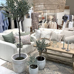 oliivipuut Lene Bjerre