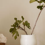 Tadevase vaasi 19cm, bone