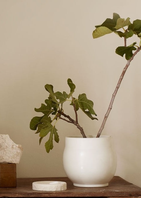 Tadevase vaasi 19cm, bone