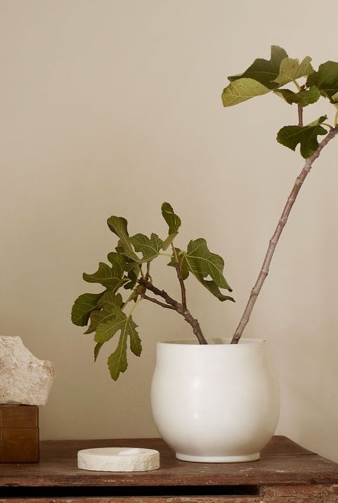 Tadevase vaasi 19cm, bone