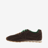 Aster tennarit, Mocca