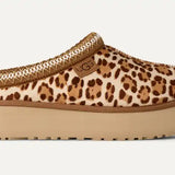 Tazz Plains pistokkaat, FDJ