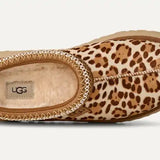 Tazz Plains pistokkaat, FDJ