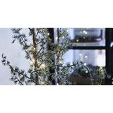 Lene Bjerre - Pinea joulukuusi led-valoilla