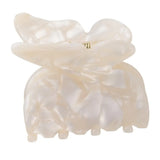 Hainhammas Butterfly, Ivory