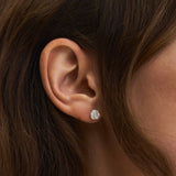 Small Rose nappikorvakorut, Gold