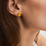 Rose nappikorvakorut, Silver